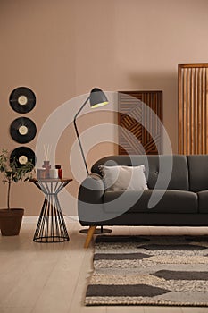 Stylish living room interior with dark sofa