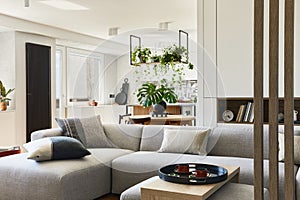 Stylish living room interior design with grey sofa, pouf and personal accessories. Dining space and kitchen on the background.