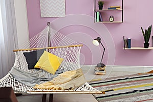 Stylish living room interior with hammock