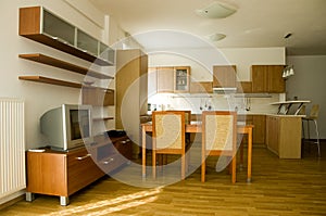 Stylish livingr oom connected with kitchen