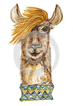 Stylish llama with glasses and a colored scarf. Portraits.