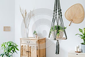 Macrame plant hanger. Concept of bright and cosy home interior. photo