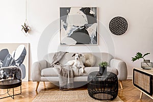 Stylish and minimalistic Scandinavian interior in modern home with dog l laying on the sofa..