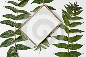 Stylish modern composition. Golden empty frame and green tropical leaves on a white background. Flat lay. Mock up