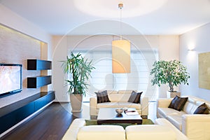 Stylish modern tv room