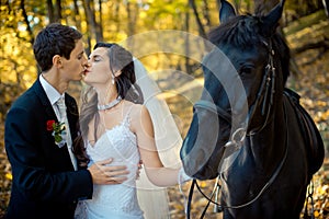 Stylish newlywed couple kissing during their walk with horse along the autumn forest. Romantic wedding portrait.