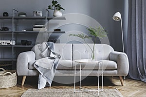 Stylish nordic living room with design grey sofa, coffee table, white lamp, bookstand, furniture, carpet, plant.
