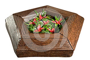 Stylish pentagonal wooden flower box photo