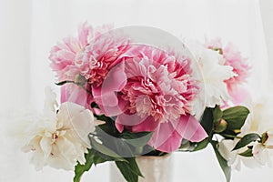 Stylish pink and white peonies in vase. Hello spring. Lovely peony bouquet in sunny light on rustic wooden window sill. Happy