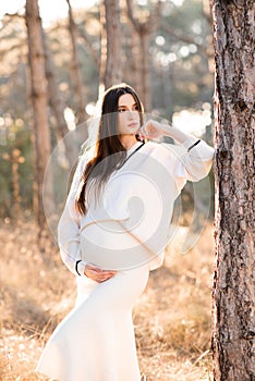 Stylish pregnant woman 24-26 year old wear knitted sweater holding her tummy in woods outdoor.
