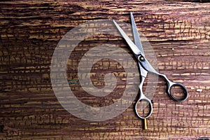 Stylish Professional Barber and salon, Hair scissors, Haircut ac