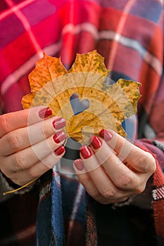 Stylish red female nails. Fall leaf with hole in heart shape in hands. Modern Beautiful manicure. Autumn nail design