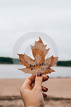 Stylish red female nails. Fall leaf with text AUTUMN in hands. Modern Beautiful manicure. Autumn nail design concept of