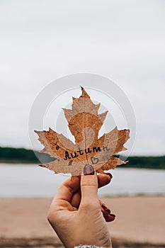 Stylish red female nails. Fall leaf with text AUTUMN in hands. Modern Beautiful manicure. Autumn nail design concept of