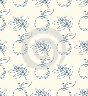 Stylish repeat pattern of oranges and orange blossom outlines. Vintage seamless surface design for printing on paper and textiles