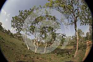 A stylish representation of a landscape through fish-eye lens