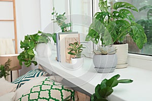 Stylish room interior beautiful house plants. Home design idea