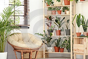 Stylish room interior with home plants