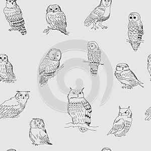 Stylish seamless pattern with owls on a gray background