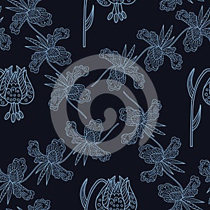 Stylish seamless texture with doodled Baikal lily
