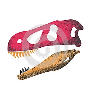 Stylish skull of a prehistoric dinosaur. vector illustration