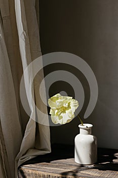 Stylish spring bouquet on rustic wooden bench. Beautiful yellow tulip in vase in sunlight on background of grey wall and linen