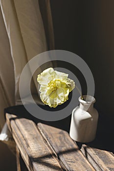 Stylish spring bouquet on rustic wooden bench. Beautiful yellow tulip in vase in sunlight on background of grey wall and linen