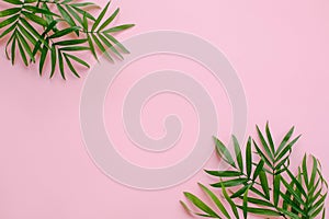 stylish summer flat lay. fresh palm leaves border on pink background with space for text. modern image. top view. summer vacation