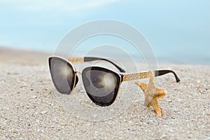 Stylish sunglasses and starfish on beach