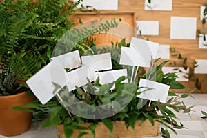 Stylish table list seating plan for wedding reception, greenery style
