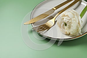 Stylish table setting with cutlery and flower on olive background, closeup. Space for text