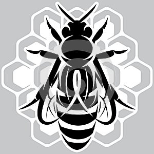 Stylish template in a simple style with a queen bee on a honeycomb. Design element for beekeeping product label