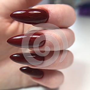 Stylish trendy red female manicure.Hands of a woman with red manicure on nails