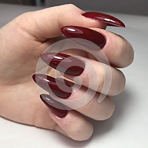 Stylish trendy red female manicure.Hands of a woman with red manicure on nails