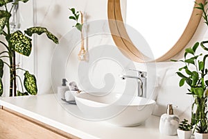 Stylish vessel sink and plants in bathroom. Interior design element