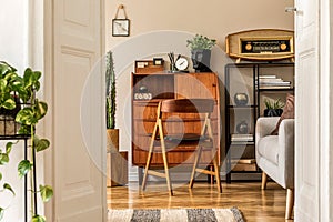 Stylish and vintage interior design of open space with furniture, plants and decoration.