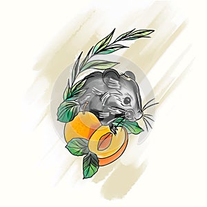 Stylish watercolor illustration in doodle style, mouse with apricot in leaves