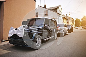 Stylish wedding cortege of cars with a bow and hat