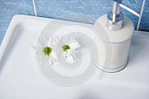 Stylish white ceramic dispenser with antiseptic antibacterial liquid soap and chamomile flowers on a white wash basin