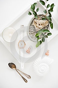 Stylish white table top, social media flat lay with plants