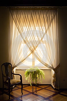 A stylish white window dressed with white curtains, a potted fer