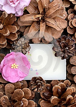 Stylish wooden background with pine cones, copy space for text. seasonal holidays and SPA concept