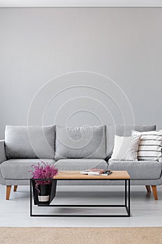 Stylish wooden coffee table with magazines and heather next to grey couch with white pillows