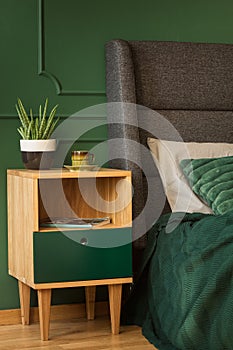 Stylish wooden nightstand with pot with green plant and coffee cup next to king size bed with headboard