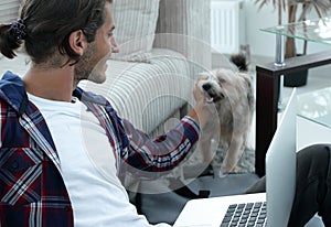 Stylish young man stroking his pet and working on laptop