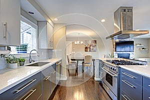 Stylishly updated kitchen with stainless steel appliances.