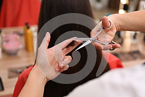 Stylist cutting hair of client in professional salon, closeup