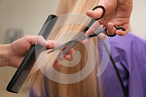 Stylist cutting hair of client in professional salon, closeup