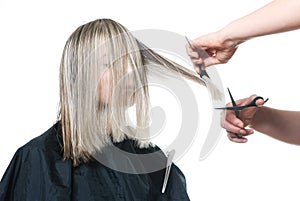 Stylist cutting hair of young blonde woman.