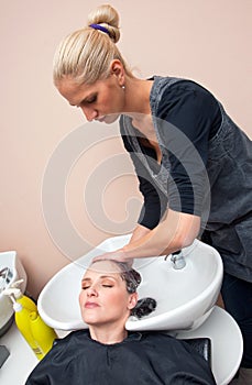 Stylist washing woman hair